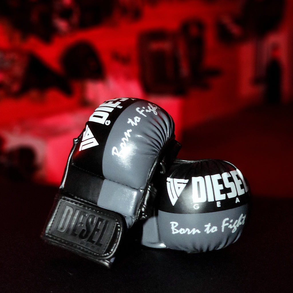 MMA GLOVES