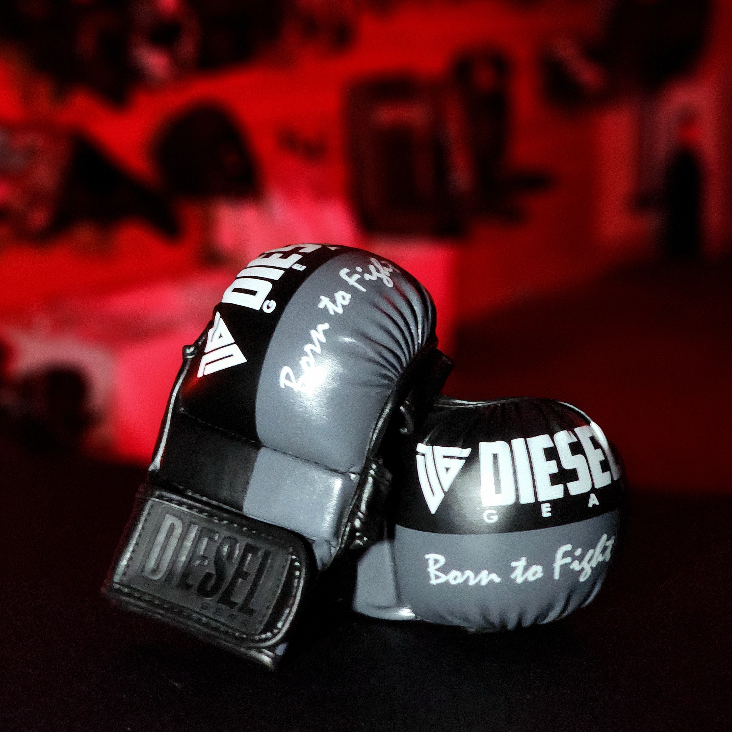 MMA GLOVES